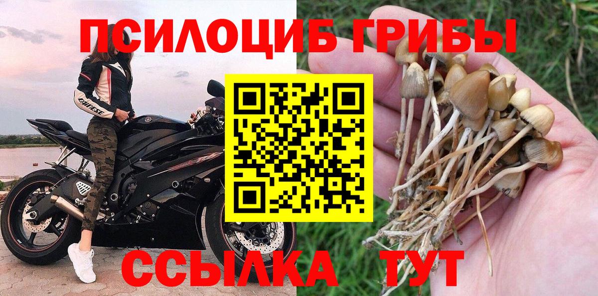 Галлюциногенные грибы Psilocybine cubensis  Псилоцибиновые грибы ЛСД  Тольятти  Вход с VPN 