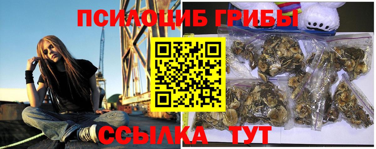 Галлюциногенные грибы GOLDEN TEACHER Тольятти